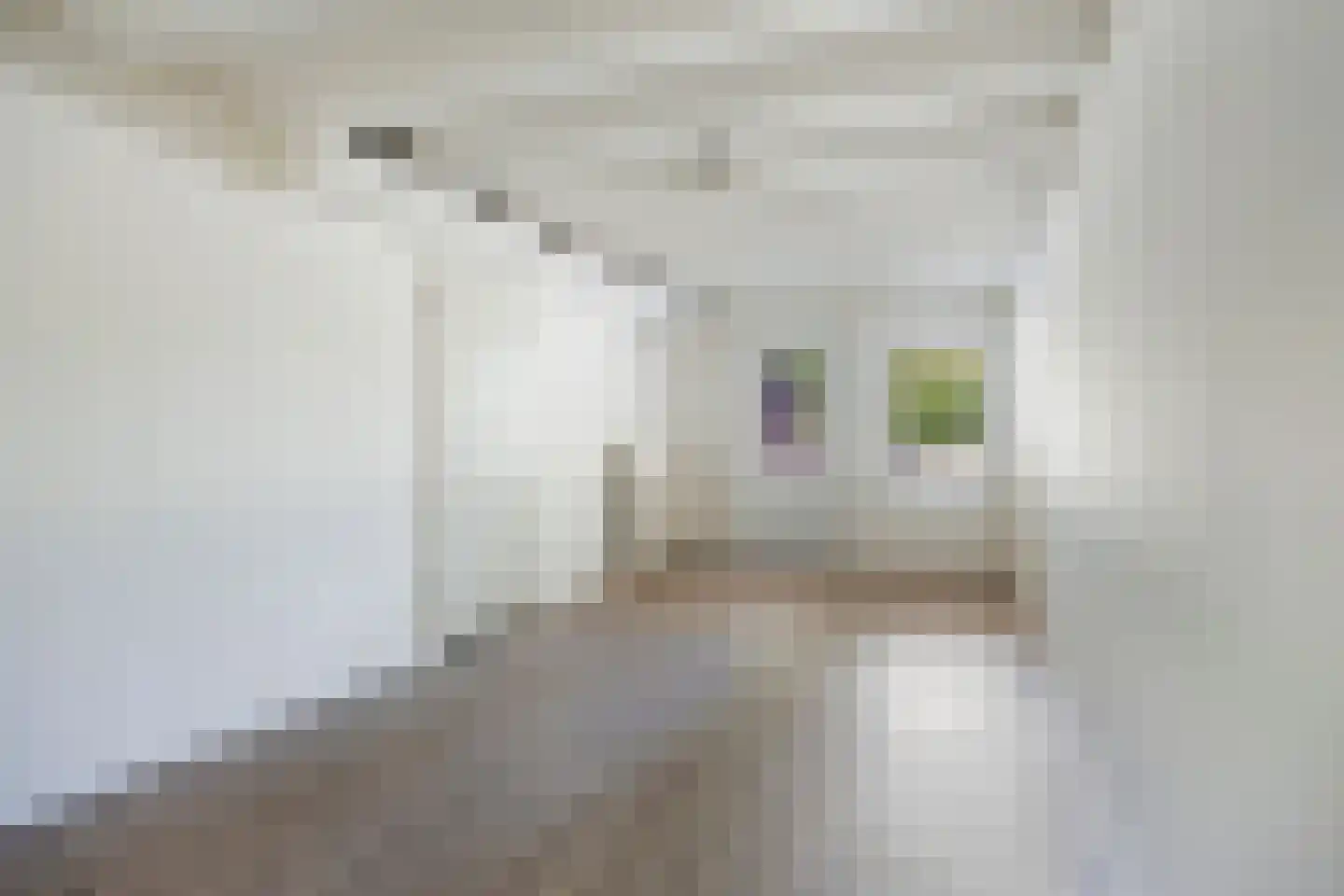 Europalaan 22 Obbicht thumbnail 26