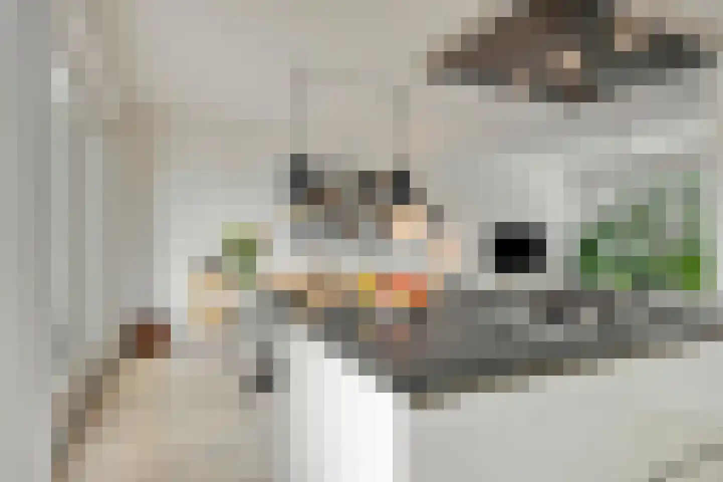 Europalaan 224 Nuenen thumbnail 16