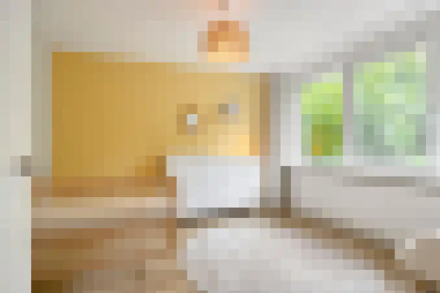 Europalaan 224 Nuenen thumbnail 25