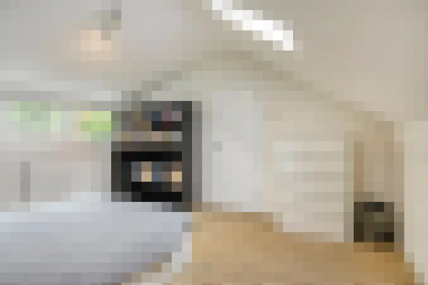 Europalaan 224 Nuenen thumbnail 33