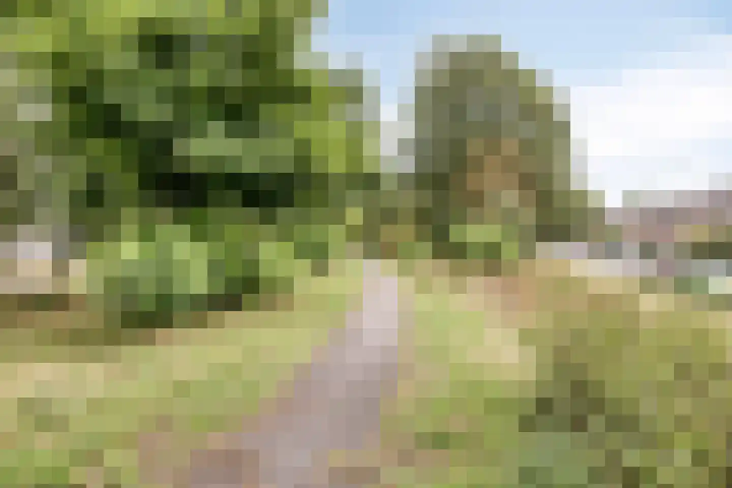 Europalaan 224 Nuenen thumbnail 42