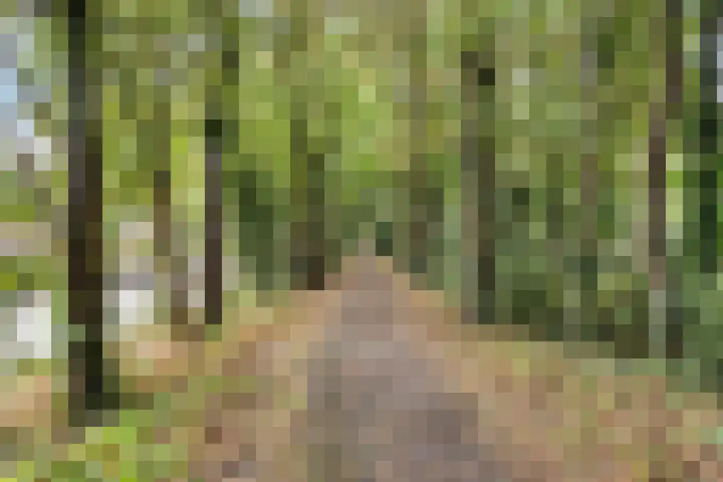 Europalaan 224 Nuenen thumbnail 43