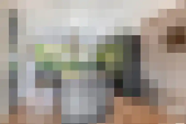 Europalaan 230 Nuenen thumbnail 12