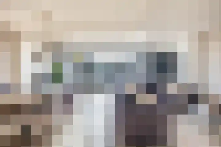Europalaan 230 Nuenen thumbnail 16