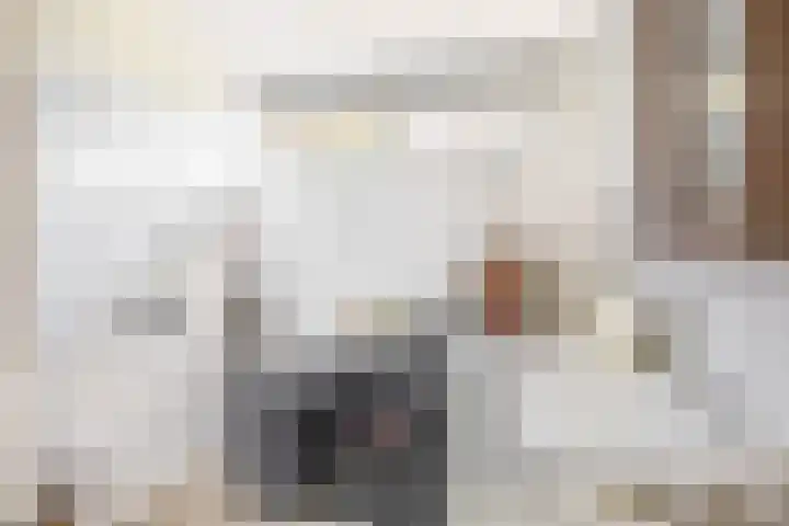 Europalaan 230 Nuenen thumbnail 29