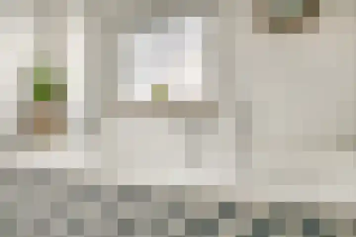 Europalaan 230 Nuenen thumbnail 32