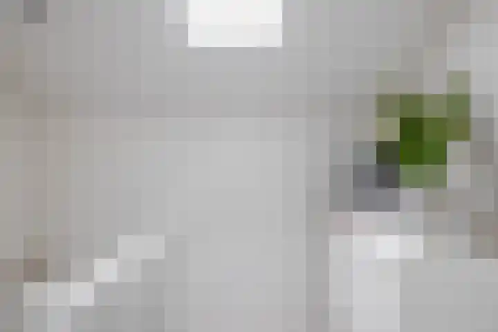 Europalaan 230 Nuenen thumbnail 35