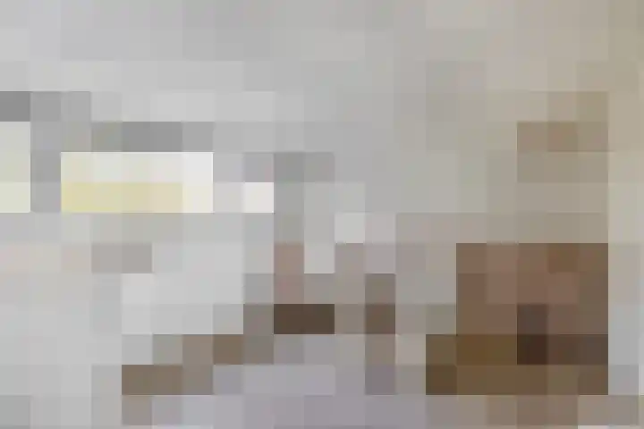 Europalaan 230 Nuenen thumbnail 36