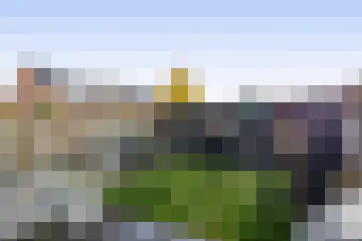 Europalaan 230 Nuenen thumbnail 38