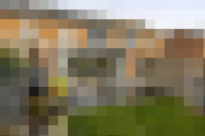 Europalaan 230 Nuenen thumbnail 40