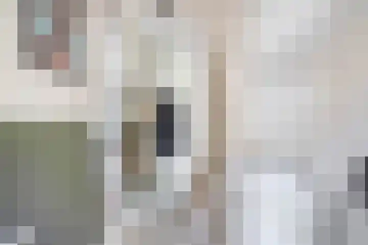 Europalaan 230 Nuenen thumbnail 9