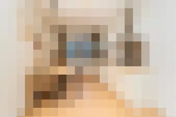 Europalaan 235 Tilburg thumbnail 23