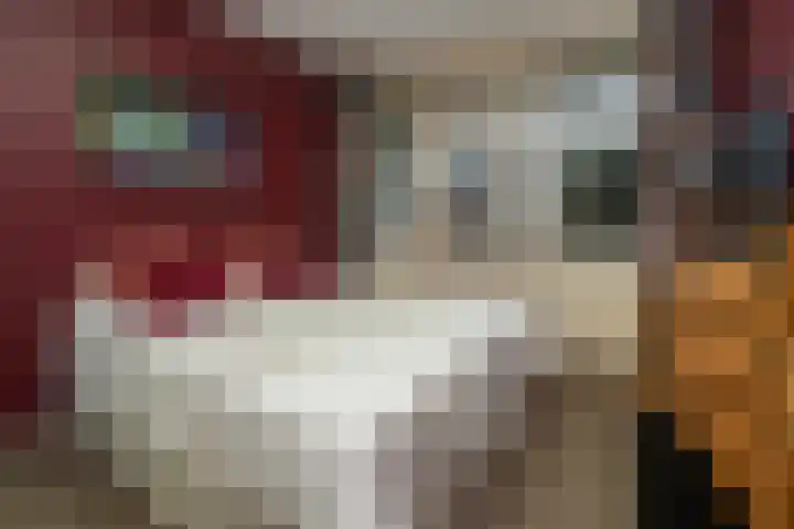 Europalaan 235 Tilburg thumbnail 24