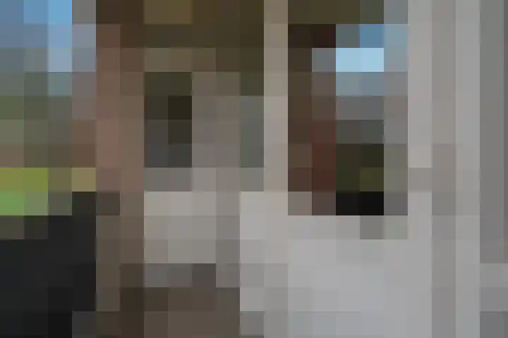 Europalaan 235 Tilburg thumbnail 28