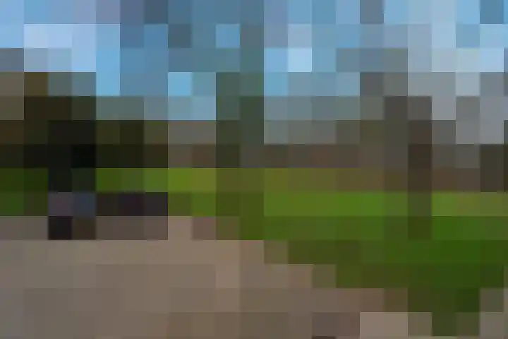 Europalaan 235 Tilburg thumbnail 30