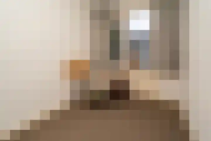 Europalaan 235 Tilburg thumbnail 33