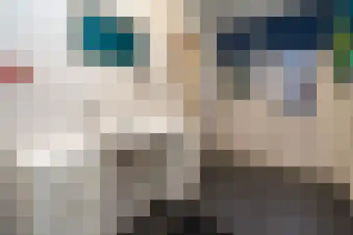 Europalaan 235 Tilburg thumbnail 36