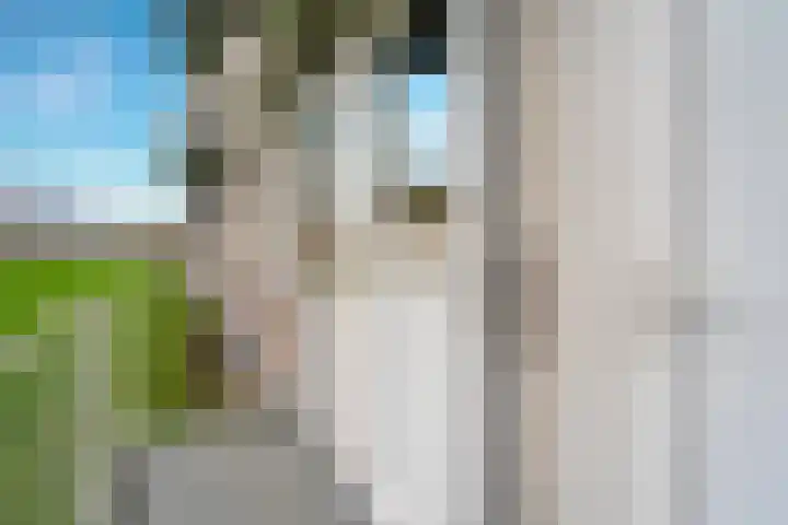 Europalaan 235 Tilburg thumbnail 42