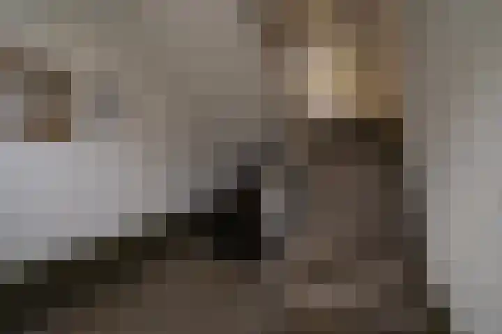 Europalaan 235 Tilburg thumbnail 8