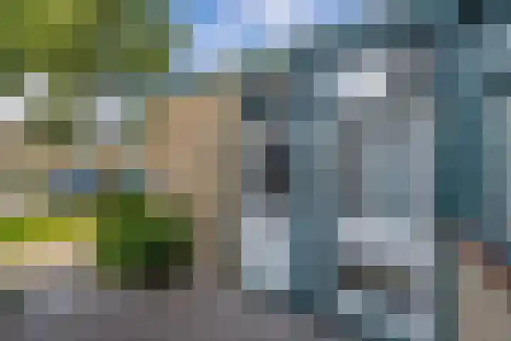 Europalaan 24 Emmeloord thumbnail 10