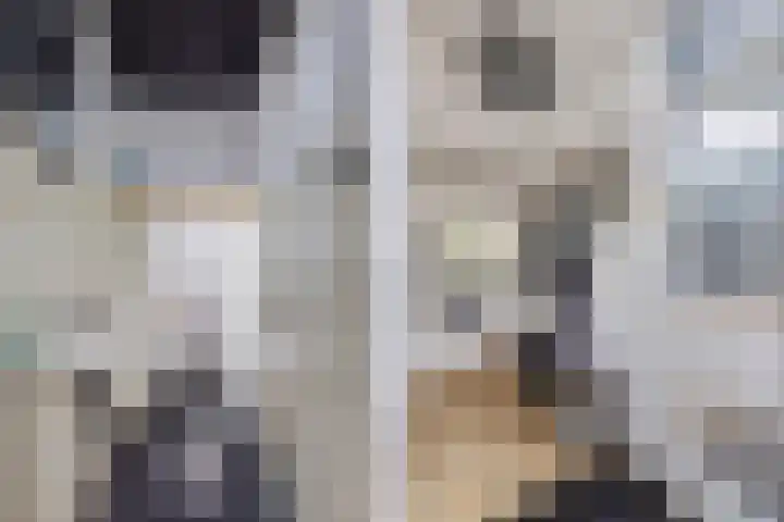 Europalaan 24 Emmeloord thumbnail 12