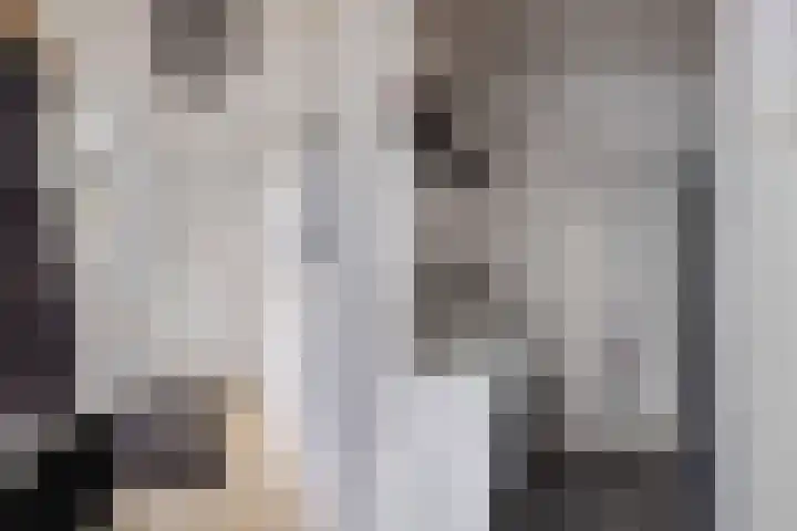 Europalaan 24 Emmeloord thumbnail 13