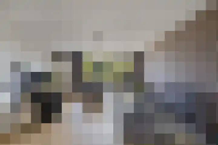 Europalaan 24 Emmeloord thumbnail 14