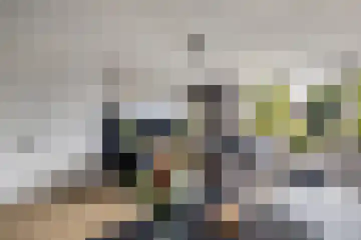 Europalaan 24 Emmeloord thumbnail 15