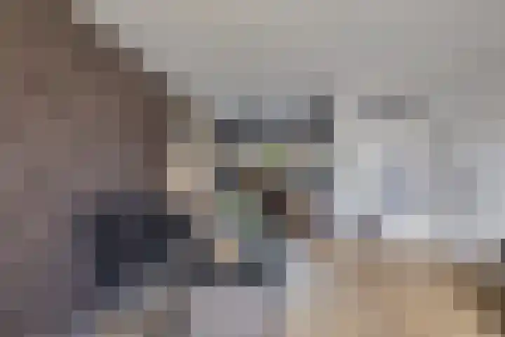 Europalaan 24 Emmeloord thumbnail 18
