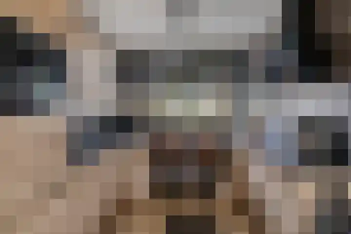 Europalaan 24 Emmeloord thumbnail 19