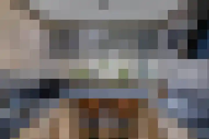 Europalaan 24 Emmeloord thumbnail 20