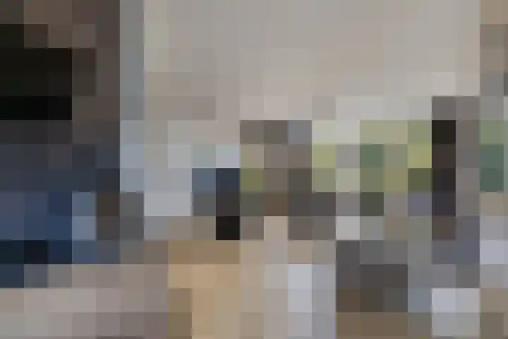 Europalaan 24 Emmeloord thumbnail 21