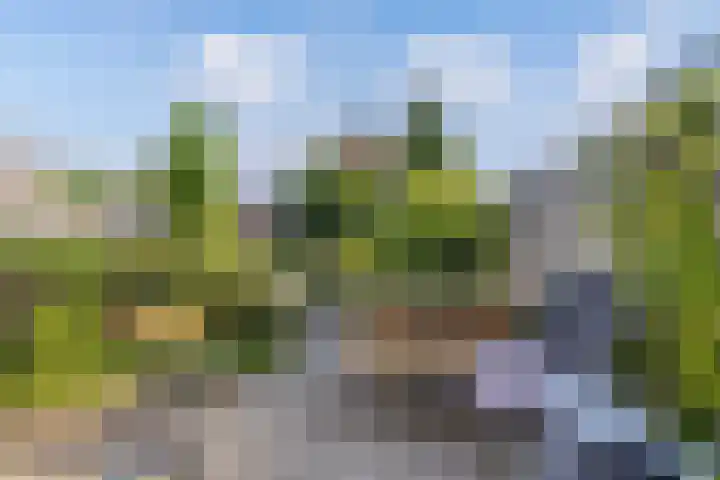 Europalaan 24 Emmeloord thumbnail 22