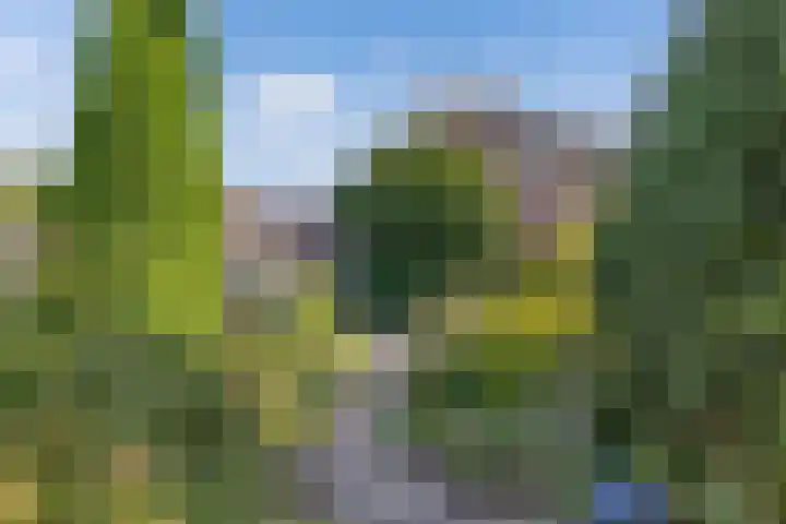Europalaan 24 Emmeloord thumbnail 23