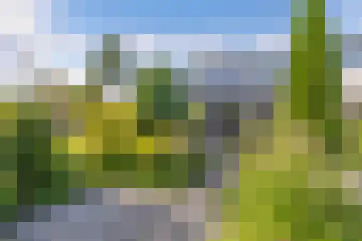 Europalaan 24 Emmeloord thumbnail 24