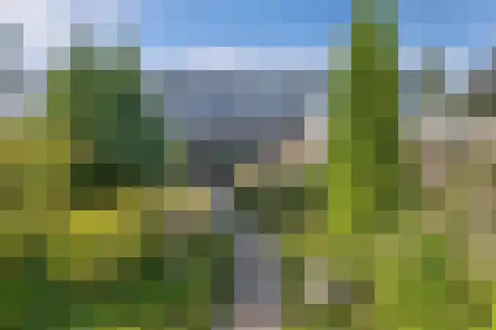 Europalaan 24 Emmeloord thumbnail 25
