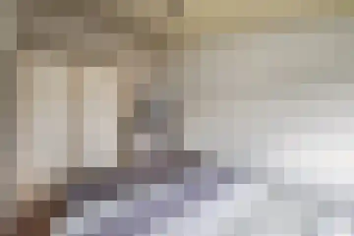 Europalaan 24 Emmeloord thumbnail 30