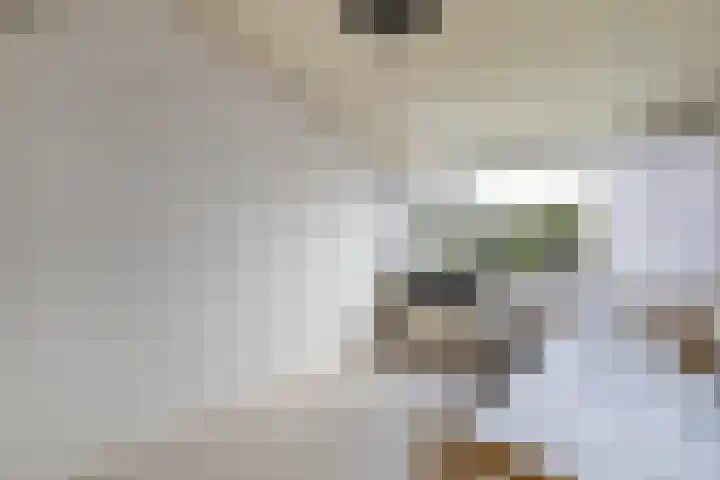 Europalaan 24 Emmeloord thumbnail 31
