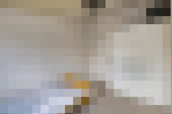 Europalaan 24 Emmeloord thumbnail 32