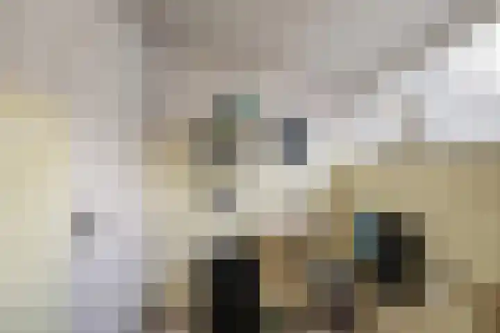 Europalaan 24 Emmeloord thumbnail 34