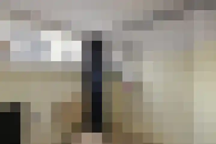 Europalaan 24 Emmeloord thumbnail 35