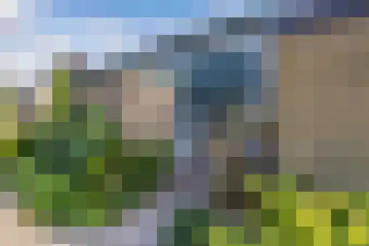 Europalaan 24 Emmeloord thumbnail 40