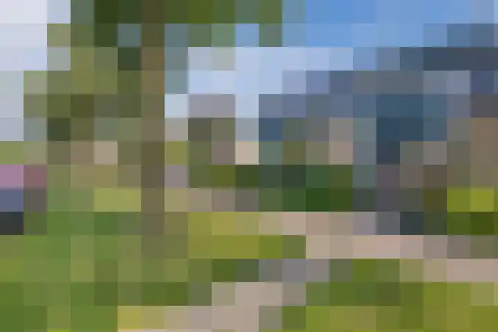 Europalaan 24 Emmeloord thumbnail 5