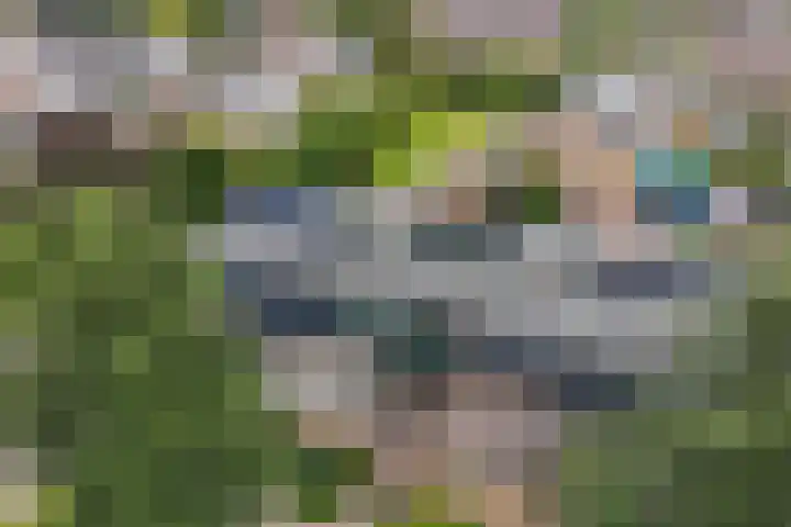 Europalaan 24 Emmeloord thumbnail 8