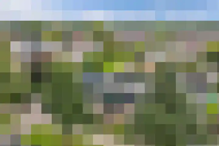 Europalaan 24 Emmeloord thumbnail 9
