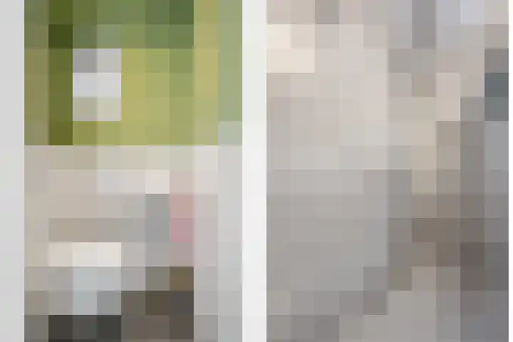 Europalaan 25 Drunen thumbnail 17