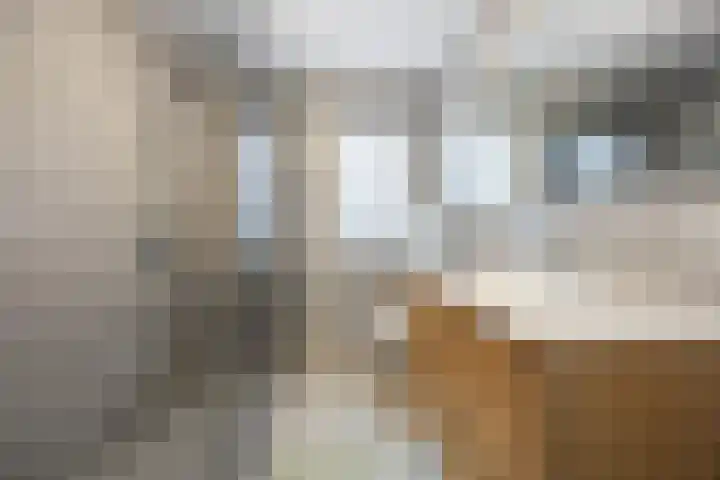Europalaan 25 Drunen thumbnail 18