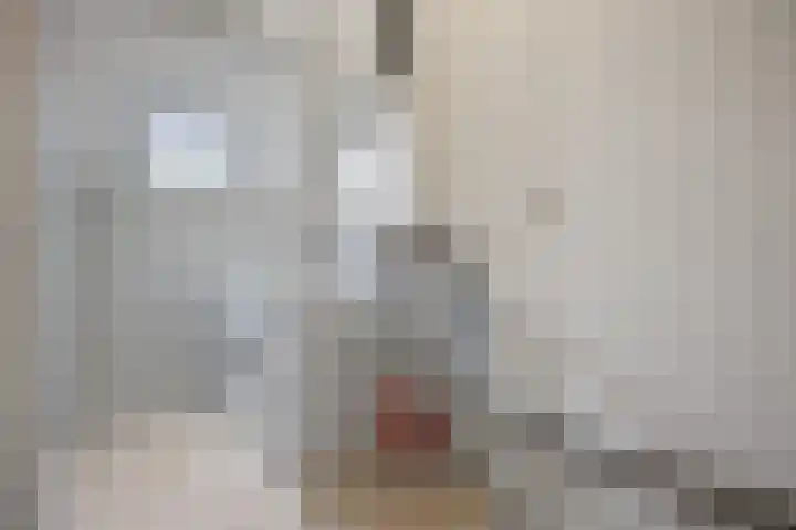 Europalaan 25 Drunen thumbnail 20