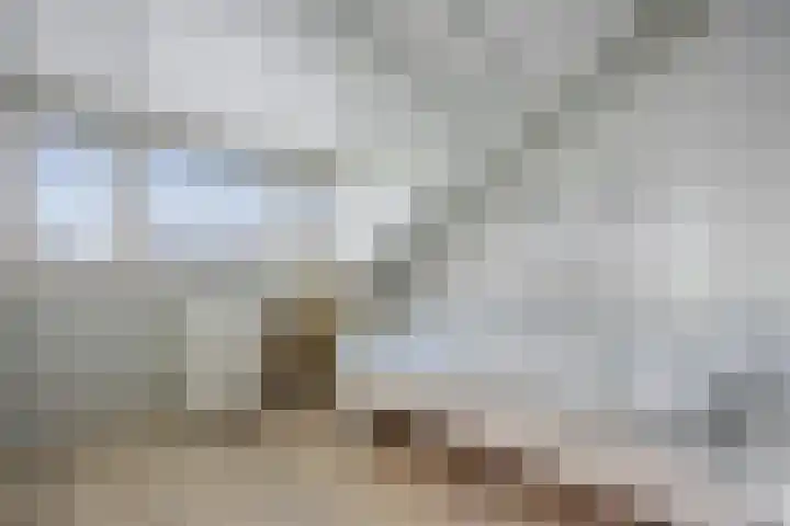 Europalaan 25 Drunen thumbnail 21