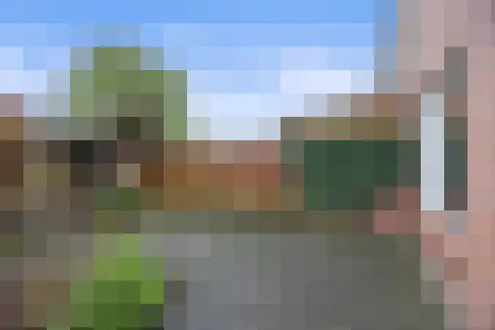 Europalaan 25 Drunen thumbnail 25